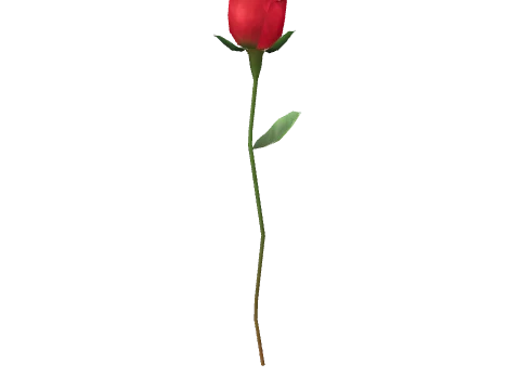 prop_single_rose