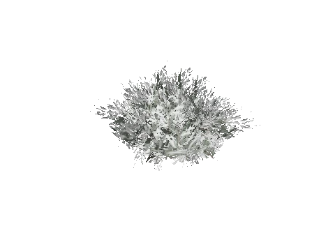 prop_snow_bush_01_a