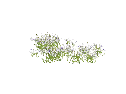 prop_snow_bush_02_b