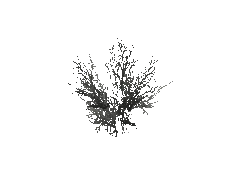 prop_snow_bush_03
