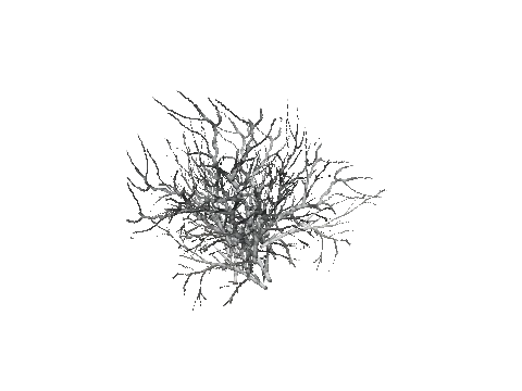 prop_snow_bush_04
