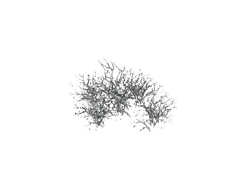 prop_snow_bush_04b