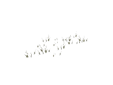 prop_snow_field_01