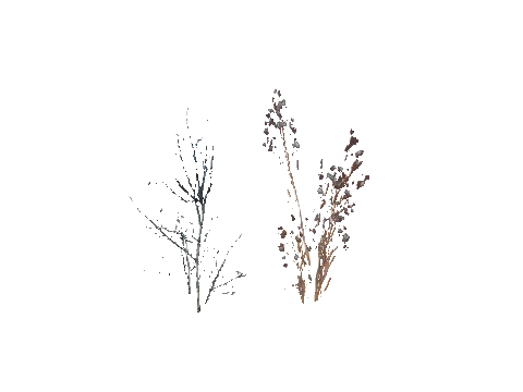 prop_snow_field_03