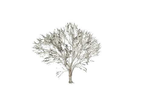 prop_snow_t_ml_01