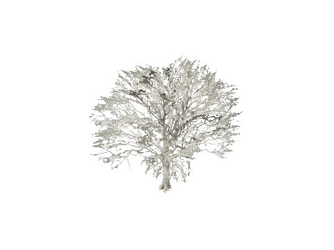 prop_snow_t_ml_02