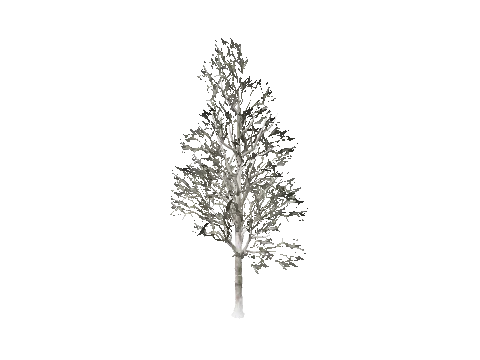 prop_snow_t_ml_cscene
