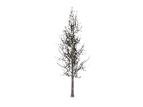 prop_snow_tree_04_f