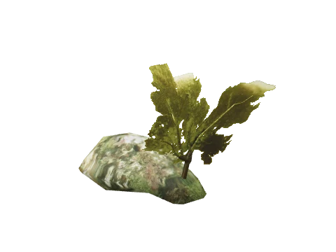 prop_starfish_02