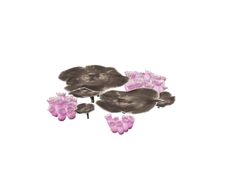 prop_starfish_03