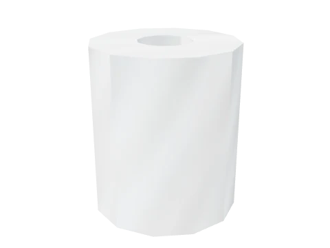 prop_toilet_roll_01