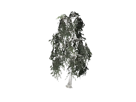 prop_tree_birch_01