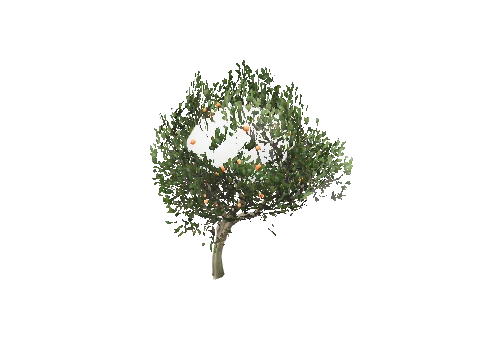 prop_tree_birch_05
