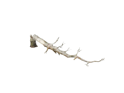 prop_tree_fallen_01