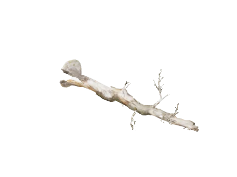 prop_tree_fallen_02