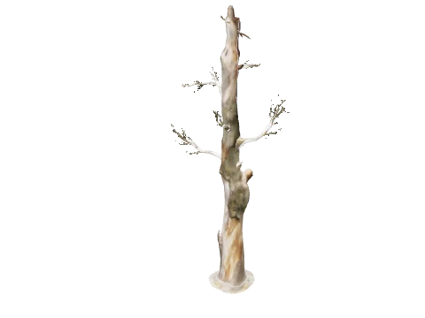 prop_tree_fallen_pine_01