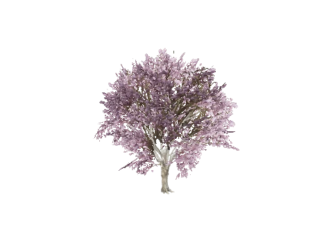 prop_tree_jacada_01