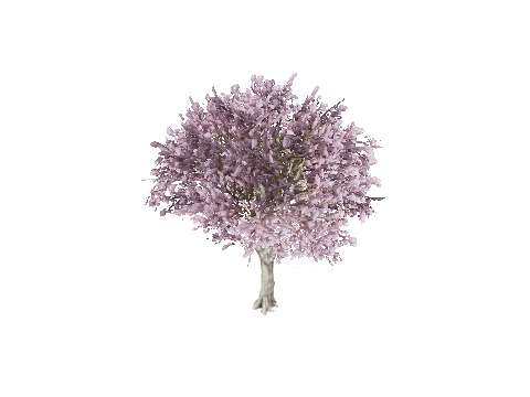 prop_tree_jacada_02