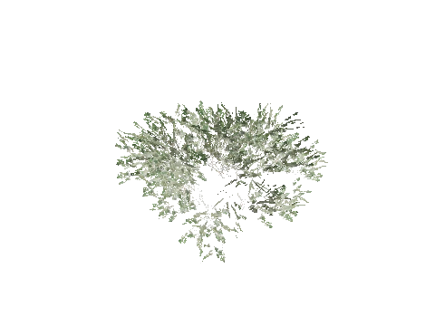 prop_tree_mquite_01_l2