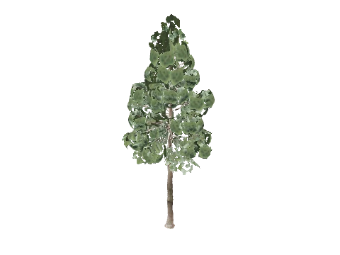 prop_tree_pine_01