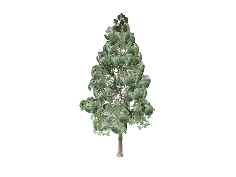 prop_tree_pine_02