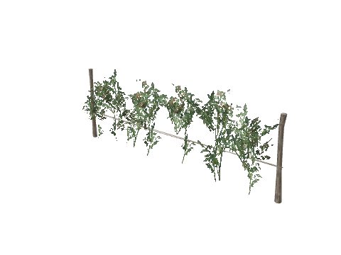 prop_veg_crop_01