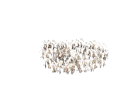 prop_veg_crop_04