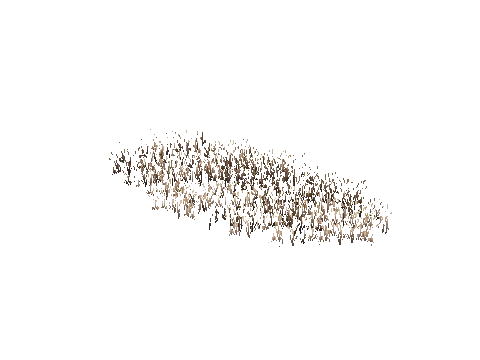 prop_veg_crop_06