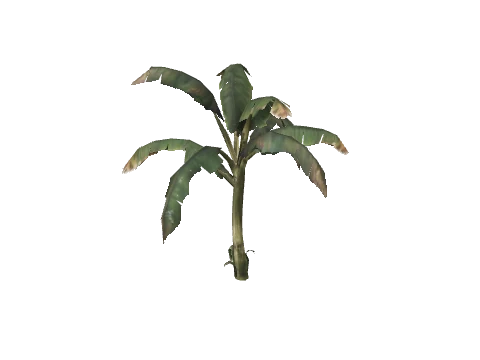 prop_veg_crop_tr_01