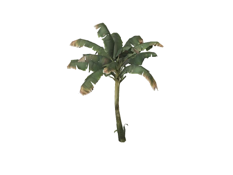 prop_veg_crop_tr_02