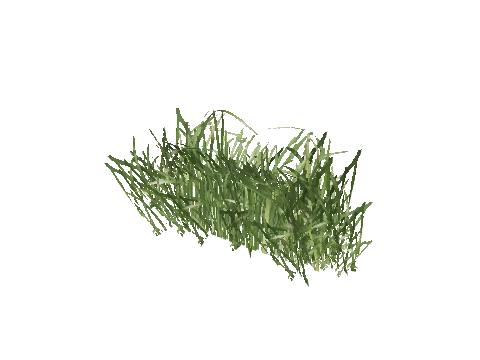 prop_veg_grass_01_a