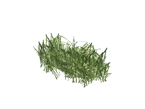 prop_veg_grass_01_b