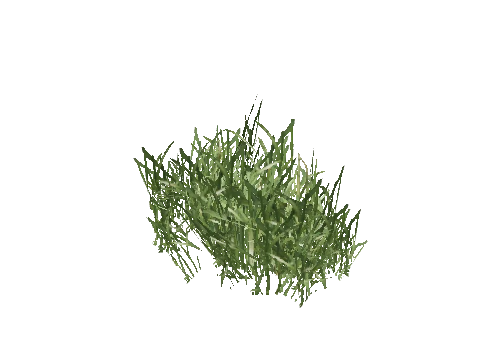 prop_veg_grass_01_c