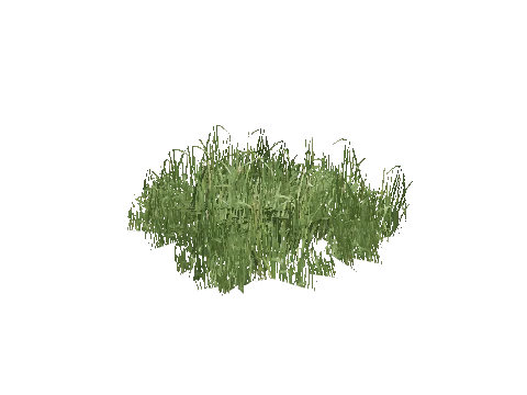 prop_veg_grass_01_d