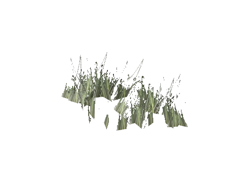 prop_veg_grass_02_a