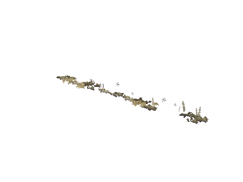 prop_weeddead_nxg01