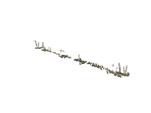 prop_weeddead_nxg02