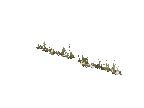 prop_weeddry_nxg01b