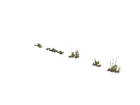 prop_weeddry_nxg02