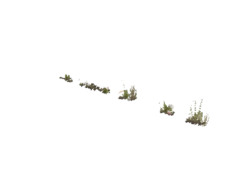 prop_weeddry_nxg02b