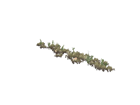 prop_weeddry_nxg03b