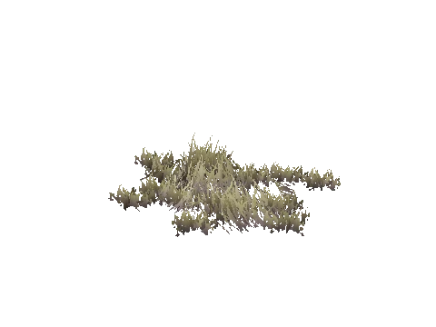prop_weeddry_nxg04