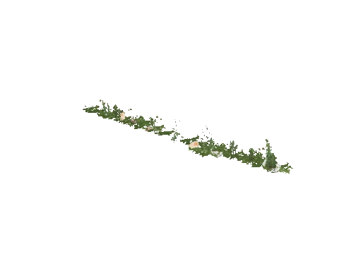 prop_weeds_nxg01b