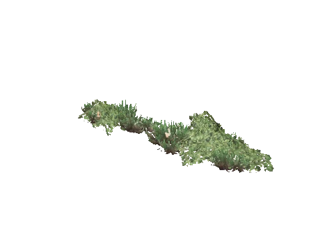 prop_weeds_nxg02b