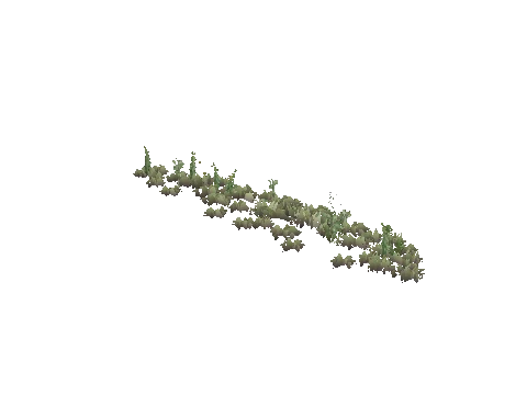 prop_weeds_nxg03