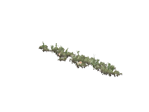 prop_weeds_nxg03b