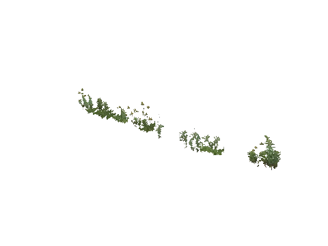 prop_weeds_nxg04