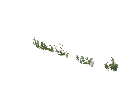 prop_weeds_nxg04b