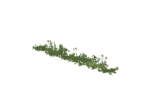 prop_weeds_nxg05