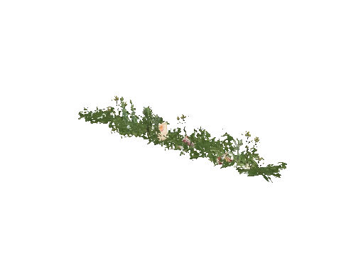 prop_weeds_nxg05b